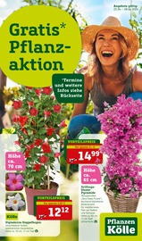 Aktueller Pflanzen Kölle Prospekt mit Gartenpflanzen, "Gratis Pflanzaktion!", Seite 1