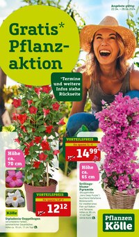 Gartenpflanzen im Pflanzen Kölle Prospekt "Gratis Pflanzaktion!" mit 18 Seiten (Potsdam)