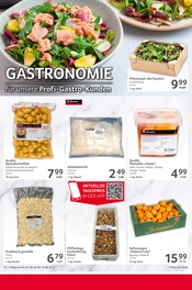 Aktueller Selgros Prospekt mit Würfel, "cash & carry", Seite 24