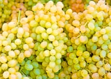 Norma Schiltigheim - Promo Raisins blancs Promo Raisins blancs à 1,99 € dans le catalogue Norma à Schiltigheim