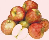 Aktuelle Äpfel Angebote bei Zimmermann in Bremerhaven Aktuelles Deutsche Tafeläpfel Angebot bei Zimmermann in Bremerhaven ab 2,49 €