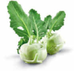 Kohlrabi von HEIMAT im aktuellen Netto Marken-Discount Prospekt