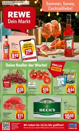 REWE Prospekt für Mannheim mit 33 Seiten REWE Prospekt für Mannheim: "Dein Markt", 33 Seiten, 27.06.2022 - 02.07.2022