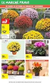 Promos Chrysanthèmes dans le catalogue "HAHA HALLOWEEN" de Carrefour Market Chrysanthèmes en promo dans le catalogue Carrefour Market à la page 26