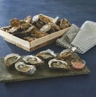 Huitres marennes oleron fines de claires igp en promo chez U Express Villenave-d'Ornon à 14,90 €