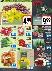 Dekoration im EDEKA Prospekt in Gießen Aktueller EDEKA Prospekt mit Dekoration, "Aktuelle Angebote", Seite 7
