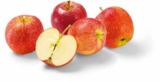 Äpfel im Angebot bei Netto Marken-Discount in Eberswalde Äpfel Angebote bei Netto Marken-Discount Eberswalde