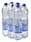Mineralwasser im Angebot bei GLOBUS in Trier Mineralwasser Angebote von Berg Quellen bei GLOBUS Trier für 3,49 €