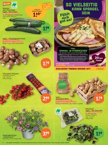 Tomaten im aktuellen tegut Prospekt (Jena) Tomaten im tegut Prospekt "tegut… gute Lebensmittel" mit 27 Seiten (Jena)