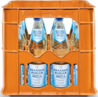 Mineralwasser von Brandenburger Quell im aktuellen Netto Marken-Discount Prospekt