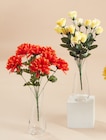 Piquet Chrysanthèmes 9 Têtes - Gifi à Malakoff Piquet Chrysanthèmes 9 Têtes en promo chez Gifi Malakoff à 1,99 €
