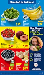 Salat Angebot im aktuellen Lidl Prospekt auf Seite 5