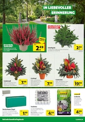 Grabpflege im Hagebaumarkt Prospekt in Haltern am See Aktueller Hagebaumarkt Prospekt mit Grabpflege, "SO günstig geht das!", Seite 18