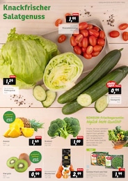 Konsum Tomaten im Prospekt 