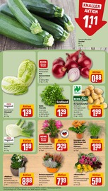 Garten im REWE Prospekt in Frechen Aktueller REWE Prospekt mit Garten, "Dein Markt", Seite 7