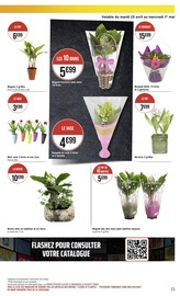 Plantes Angebote im Prospekt "Casino Supermarché" von Casino Supermarchés auf Seite 15