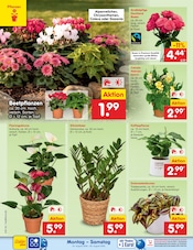 Haushaltsartikel im Netto Marken-Discount Prospekt in Lehrte Aktueller Netto Marken-Discount Prospekt mit Haushaltsartikel, "Aktuelle Angebote", Seite 31