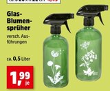 Thomas Philipps Aschersleben Prospekt mit  im Angebot für 1,99 €