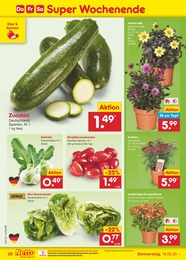 Netto Marken-Discount Chrysantheme im Prospekt Netto Marken-Discount Chrysantheme im Prospekt