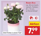 Rosen Duo im aktuellen Netto Marken-Discount Prospekt
