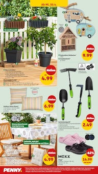 Blumentopf im Penny Prospekt "Wer günstig will, muss Penny." mit 45 Seiten (Dresden)