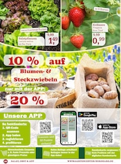 Ähnliche Angebote wie Trockenfrüchte im Prospekt "Lass es blühen!" auf Seite 10 von Garten-Center Nordharz GmbH & Co. KG in Salzgitter