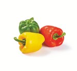 Paprika-Mix Angebot in Kirchdorf Paprika-Mix im aktuellen Prospekt bei Lidl in Kirchdorf