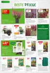 Blumenerde Blumenerde