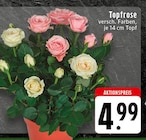 Angebot im EDEKA Wallenhorst Prospekt EDEKA Wallenhorst Prospekt mit  im Angebot für 4,99 €