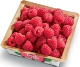 Netto Marken-Discount - Himbeeren Angebot im Prospekt Himbeeren bei Netto Marken-Discount im Prospekt "" für 1,99 €