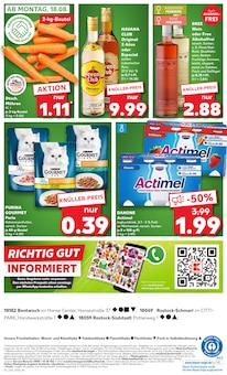 Katzenfutter im Kaufland Prospekt "KNÜLLER" mit 58 Seiten (Rostock)