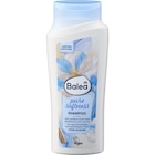 Shampoo pure softness im Angebot bei dm-drogerie markt in Zwickau Shampoo pure softness Angebote von Balea bei dm-drogerie markt Zwickau für 0,65 €
