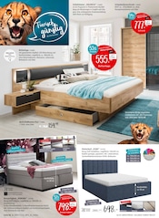 Bettwäsche im Zurbrüggen Prospekt in Herne Aktueller Zurbrüggen Prospekt mit Bettwäsche, "Tierisch günstig", Seite 16