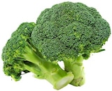 Bio Broccoli im Angebot bei REWE in Magdeburg Bio Broccoli Angebote von REWE bei REWE Magdeburg für 1,59 €