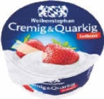 Cremig & Quarkig von Weihenstephan im aktuellen Netto Marken-Discount Prospekt für 0,49 €