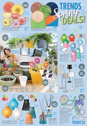 Gartendeko im Trends Prospekt in Iserlohn Aktueller Trends Prospekt mit Gartendeko, "TRENDS Spring DEALS! - 20% zusätzlich auf alle Gartenmöbel", Seite 11