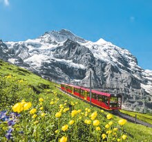 Netto Marken-Discount Bad Suderode - SCHWEIZ – Berner Oberland, Kandersteg SCHWEIZ – Berner Oberland, Kandersteg Angebot bei Netto Marken-Discount Bad Suderode im Prospekt "Reisen … zu Netto-Preisen!"