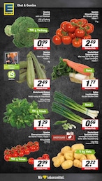 Zwiebeln Angebot im aktuellen E center Prospekt auf Seite 4