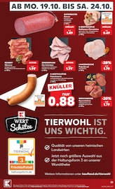Putenbrust im Kaufland Prospekt in Erlangen Aktueller Kaufland Prospekt mit Putenbrust, "Hier bin ich richtig", Seite 27