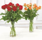 Bouquet de 10 roses en promo chez Super U Montpellier à 4,39 €