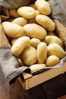 Intermarché Hyper Maulette - Promo Pomme de terre de consommation Promo Pomme de terre de consommation à 2,09 € dans le catalogue Intermarché Hyper à Maulette