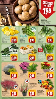 Blumen im REWE Prospekt "Dein Markt" mit 30 Seiten (Mainz)