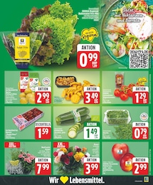 Datteln Angebot & Preis im aktuellen EDEKA Prospekt Datteln Angebot im aktuellen EDEKA Prospekt auf Seite 3