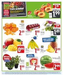 Bananen im EDEKA Prospekt "Noch kein °Punktesammler? Hier direkt anmelden!" auf Seite 6