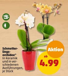 Pflanzen im aktuellen Penny-Markt Prospekt für €4.99