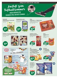 V-Markt Pilze im Prospekt 