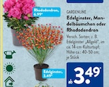 Rhododendron Angebote von Gardenline bei ALDI SÜD Bonn für 3,49 €
