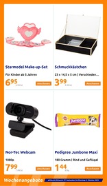 Notebook im Action Prospekt in Aalen Aktueller Action Prospekt mit Notebook, "kleine Preise, grosse Freude!", Seite 20