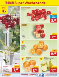 Netto Marken-Discount Orchidee im Prospekt 