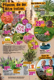Ähnliche Aquarium Angebote im Prospekt "Dir ist vieles Latte. Nur nicht Dein Garten." von Hornbach in Trier Ähnliche Angebote wie Aquarium im Prospekt "Dir ist vieles Latte. Nur nicht Dein Garten." auf Seite 13 von Hornbach in Trier